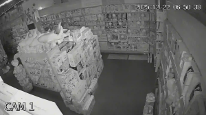 Caméra IP - Georgien