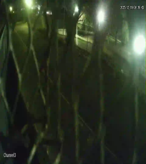 Caméra IP - Afrique du Sud