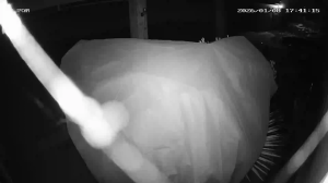 Caméra IP - Deutschland