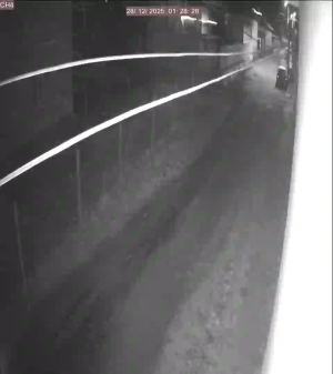 Caméra IP - Denmark