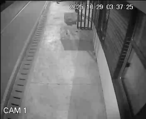 Caméra IP - Rumänien