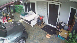 Caméra IP - Malaysia