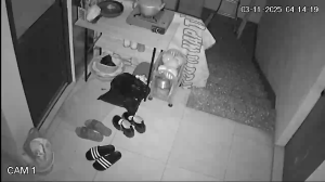 Caméra IP - Vietnam