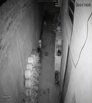 Caméra IP - Argentine