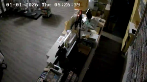 Caméra IP - Germany