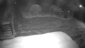 Caméra IP - Kazakhstan