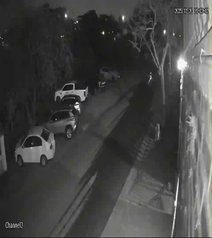 Caméra IP - Südafrika