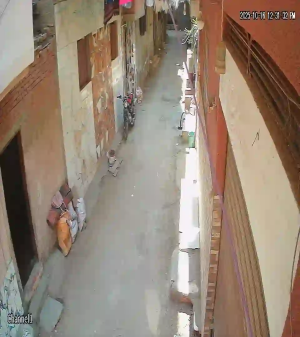 Caméra IP - Egypt