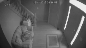 Caméra IP - États-Unis d'Amérique