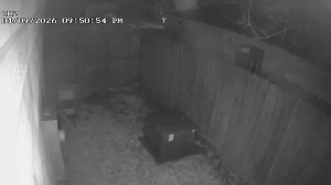 Caméra IP - United States of America