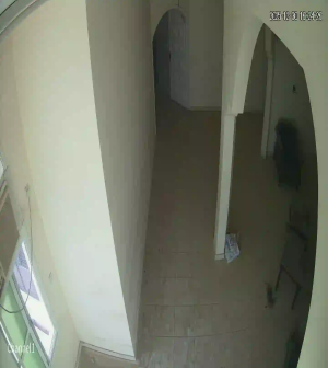 Caméra IP - Émirats Arabes Unis