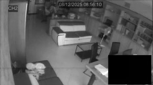 Caméra IP - Italien