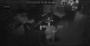 Caméra IP - Libanon