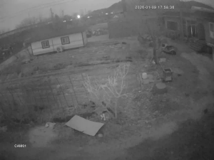 Caméra IP - South Korea