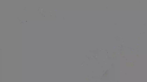 Caméra IP - Russian Federation