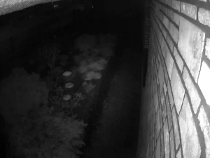 Caméra IP - Netherlands