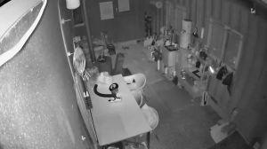 Caméra IP - South Korea