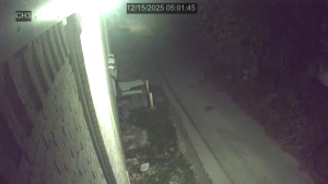 Caméra IP - United States of America