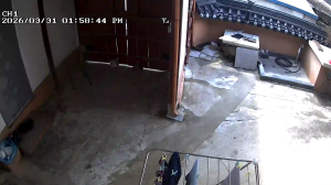 Caméra IP - South Korea