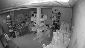 Caméra IP - Switzerland