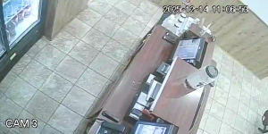 Caméra IP - United States of America