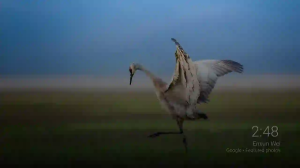 Caméra IP - États-Unis d'Amérique