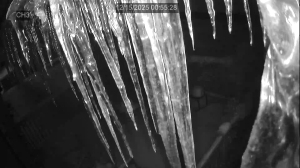 Caméra IP - United States of America