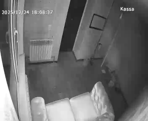 Caméra IP - Kazakhstan