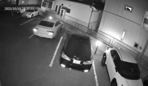 Caméra IP - Giappone