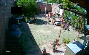 Caméra IP - Argentinien