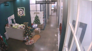 Caméra IP - South Korea