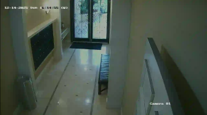 Caméra IP - Vereinigte Staaten von Amerika