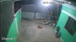 Caméra IP - Trinidad and Tobago