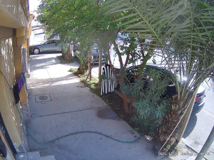 Caméra IP - Saudi Arabia