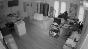 Caméra IP - Estados Unidos