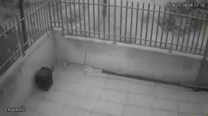 Caméra IP - South Africa