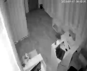 Caméra IP - Russische Föderation