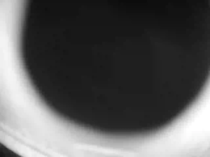 Caméra IP - Hong Kong