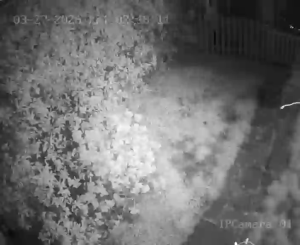 Caméra IP - Italien