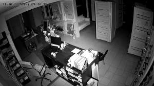 Caméra IP - Russische Föderation