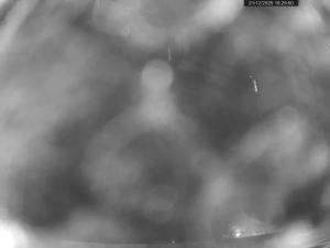 Caméra IP - Allemagne