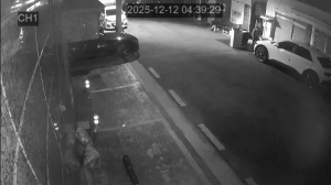 Caméra IP - South Korea