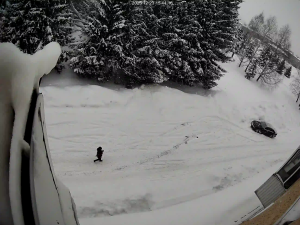 Caméra IP - Russian Federation