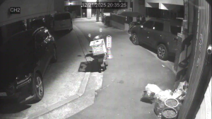 Caméra IP - República de Corea