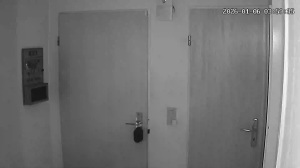 Caméra IP - Germany