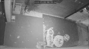 Caméra IP - South Korea