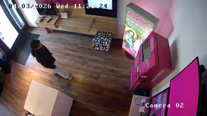 Caméra IP - Croatia