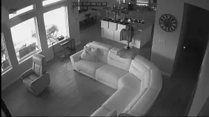 Caméra IP - United States of America