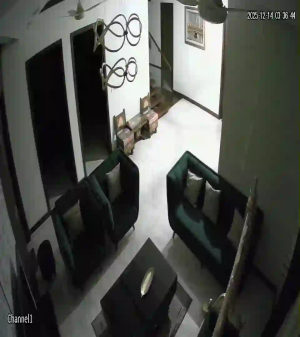 Caméra IP - Estados Unidos