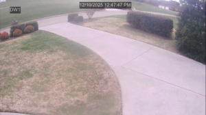 Caméra IP - États-Unis d'Amérique